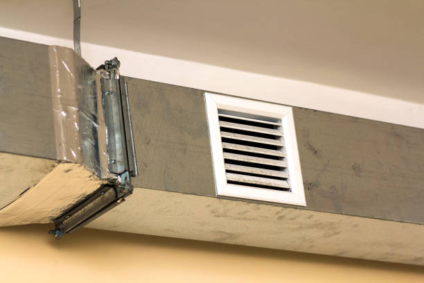 Best Air Duct Cleaning Near Me  in Ruhenstroth, NV